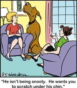 marmaduke